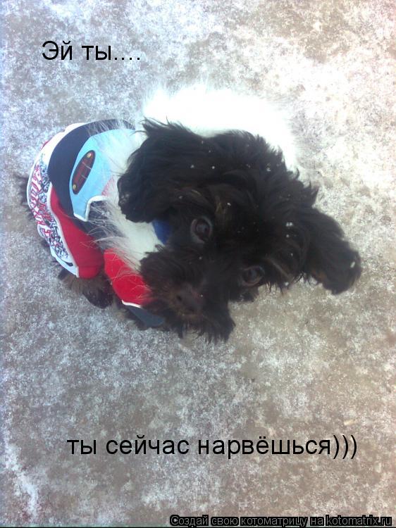 Котоматрица: Эй ты.... ты сейчас нарвёшься)))