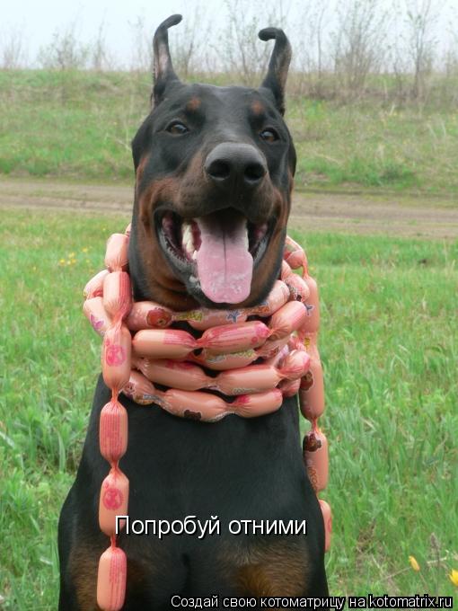 Котоматрица: Попробуй отними