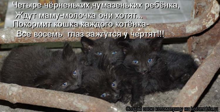 Котоматрица: Четыре чёрненьких,чумазеньких ребёнка, Ждут маму-молочка они хотят... Покормит кошка каждого котёнка-  Все восемь  глаз зажгутся у чертят!!!