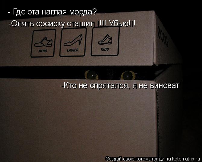 Котоматрица: - Где эта наглая морда? -Опять сосиску стащил !!!! Убью!!! -Кто не спрятался, я не виноват