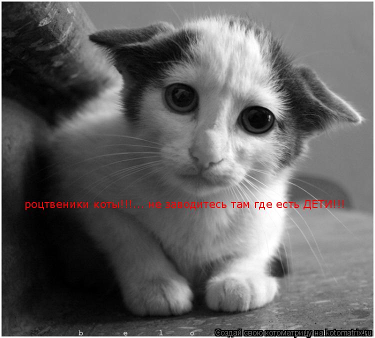 Котоматрица: роцтвеники коты!!!... не заводитесь там где есть ДЕТИ!!!