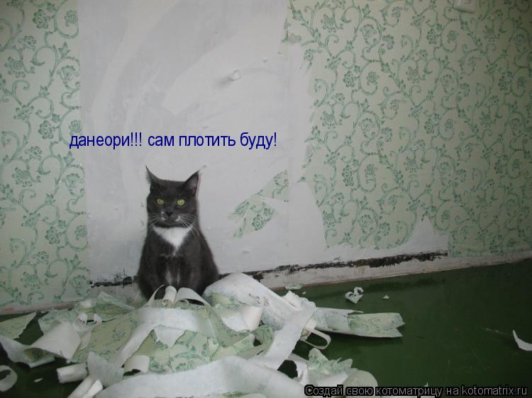Котоматрица: данеори!!! сам плотить буду!