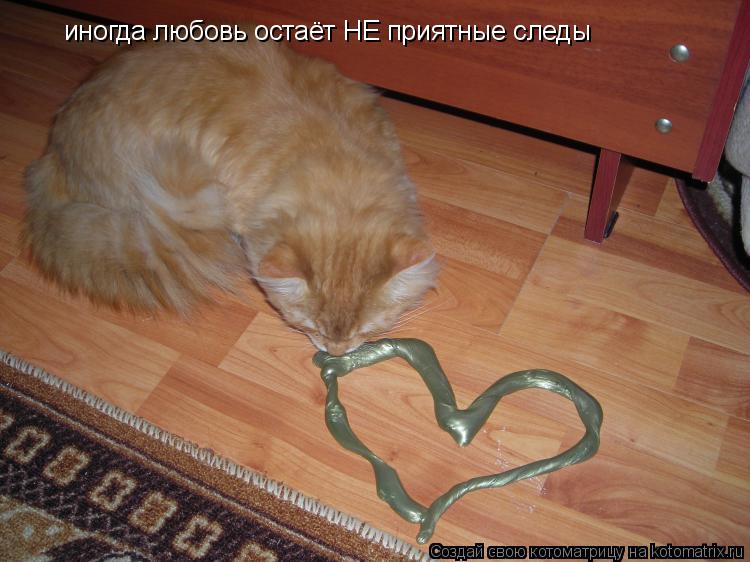 Котоматрица: иногда любовь остаёт НЕ приятные следы