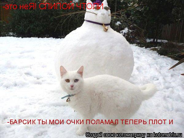 Котоматрица: -это неЯ! СЛИПОЙ ЧТОЛИ -БАРСИК ТЫ МОИ ОЧКИ ПОЛАМАЛ ТЕПЕРЬ ПЛОТ И