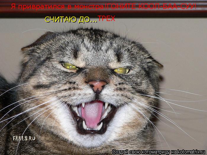 Котоматрица: Я привратился в монстра!ГОНИТЕ КООЛ-БАА-СУУ! СЧИТАЮ ДО... ТРЕХ