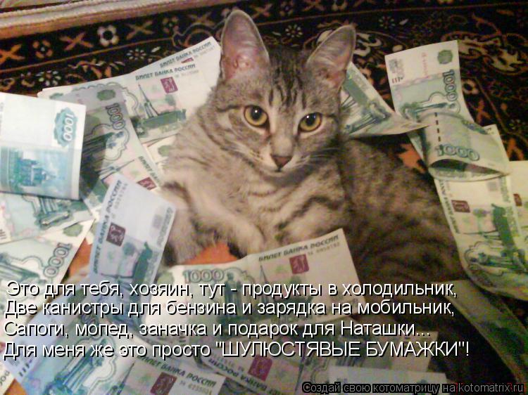 Котоматрица: Это для тебя, хозяин, тут - продукты в холодильник, Две канистры для бензина и зарядка на мобильник, Сапоги, мопед, заначка и подарок для Ната