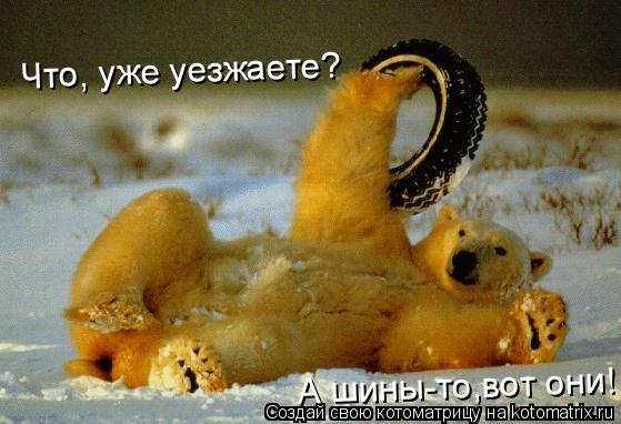 Котоматрица: Что, уже уезжаете? А шины-то,вот они!