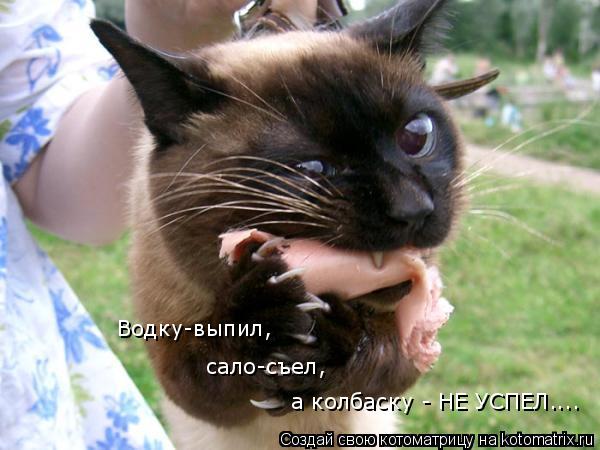 Котоматрица: Водку-выпил,  сало-съел,  а колбаску - НЕ УСПЕЛ....