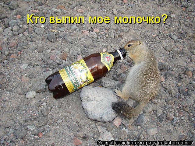 Котоматрица: Кто выпил мое молочко? Кто выпил мое молочко?