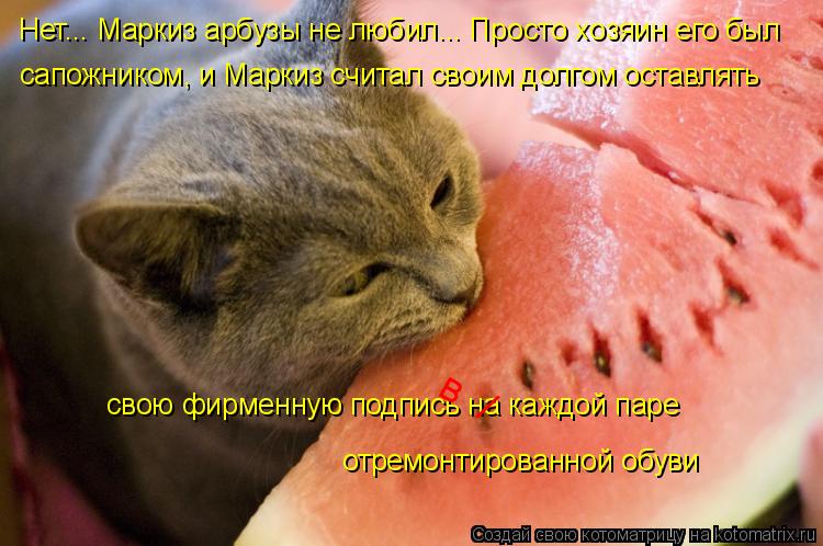 Котоматрица: Нет... Маркиз арбузы не любил... Просто хозяин его был сапожником, и Маркиз считал своим долгом оставлять свою фирменную подпись на каждой па