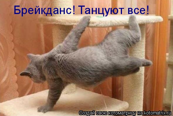 Котоматрица: Брейкданс! Танцуют все!