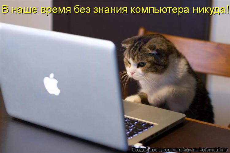 Котоматрица: В наше время без знания компьютера никуда!