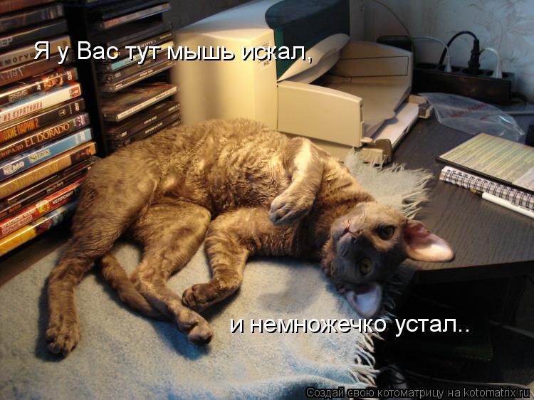 Котоматрица: Я у Вас тут мышь искал,  и немножечко устал….