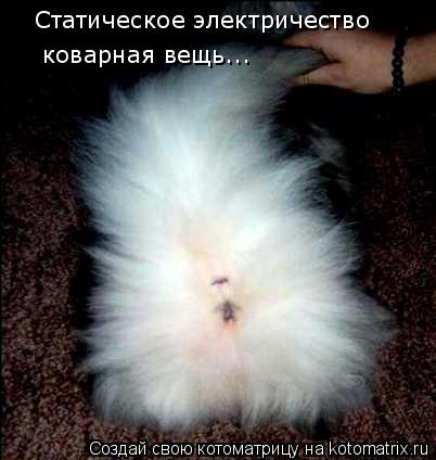 Котоматрица: Статическое электричество коварная вещь...