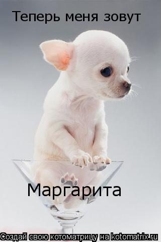 Котоматрица: Теперь меня зовут Маргарита