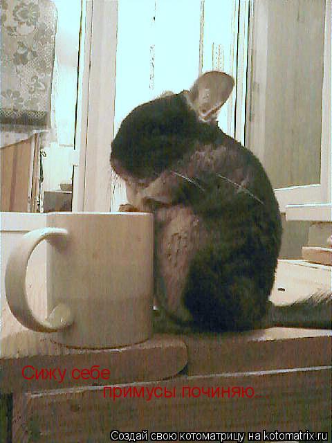 Котоматрица: Сижу себе примусы починяю...