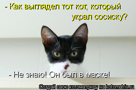 Котоматрица: - Как выглядел тот кот, который  украл сосиску? - Не знаю! Он был в маске!