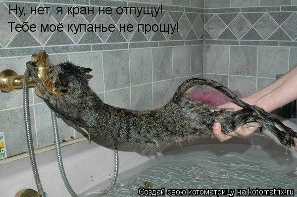 Котоматрица: Ну, нет, я кран не отпущу! Тебе моё купанье не прощу!