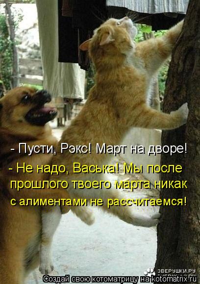 Котоматрица: - Пусти, Рэкс! Март на дворе! - Не надо, Васька! Мы после прошлого твоего марта никак с алиментами не рассчитаемся!