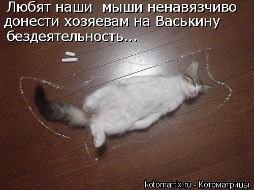 Любят наши мыши ненавязчиво донести хозяевам на Васькину бездеятельность...... Котоматрица: Любят наши мыши ненавязчиво донести хозяевам на Васькину бездеятельность...