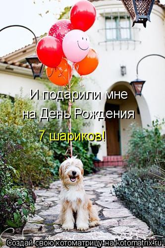 И подарили мне на День Рождения 7 шариков!... Котоматрица: И подарили мне на День Рождения 7 шариков!