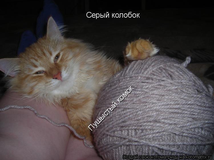 Котоматрица: Серый колобок Пушыстый комок