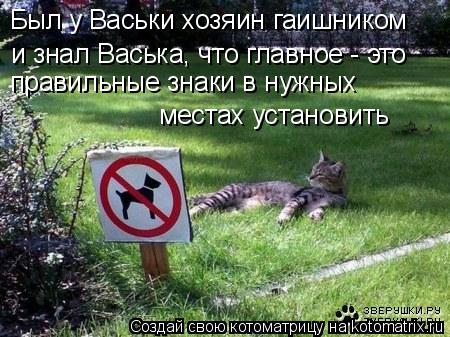 Котоматрица: Был у Васьки хозяин гаишником и знал Васька, что главное - это правильные знаки в нужных местах установить