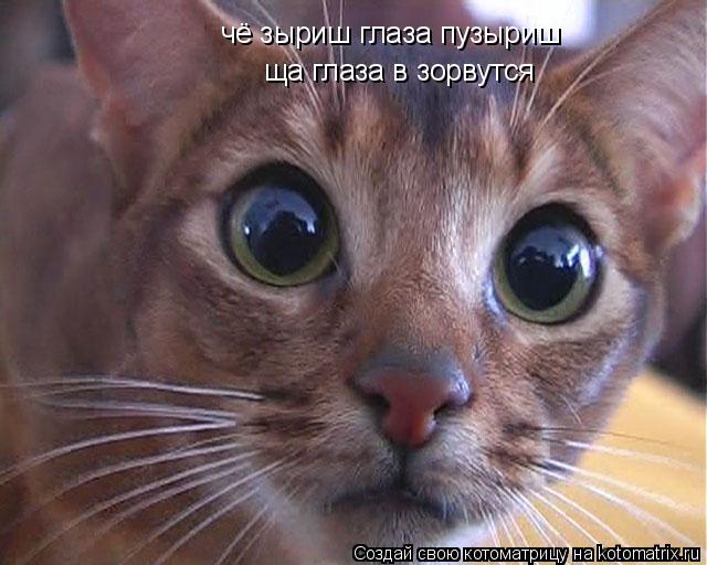 чё зыриш глаза пузыриш ща глаза в зорвутся... Котоматрица: чё зыриш глаза пузыриш ща глаза в зорвутся
