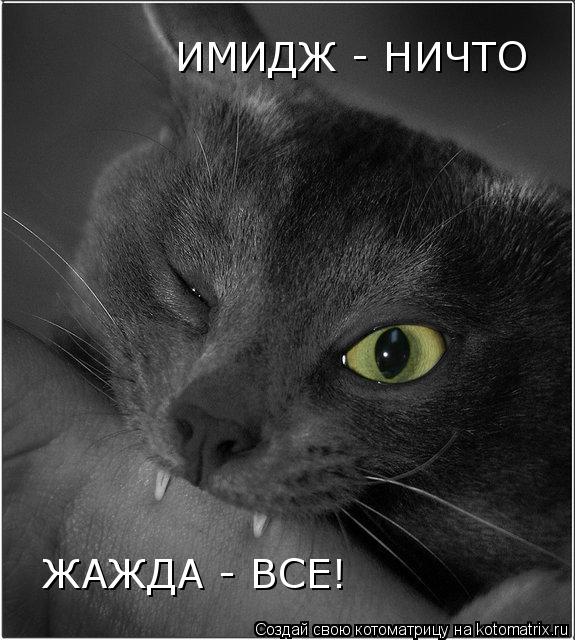 Котоматрица: ИМИДЖ - НИЧТО ЖАЖДА - ВСЕ!