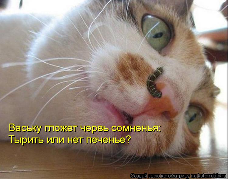 Котоматрица: Ваську гложет червь сомненья: Тырить или нет печенье?