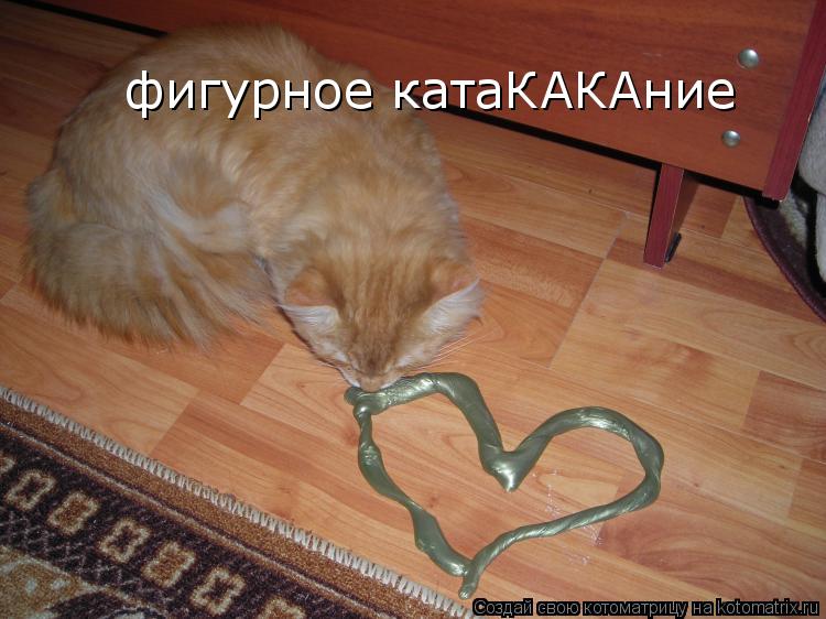 Котоматрица: фигурное катаКАКАние
