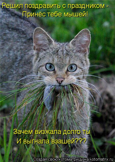 Котоматрица: Решил поздравить с праздником - Принёс тебе мышей! Зачем визжала долго ты И выгнала взашей???