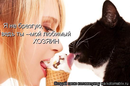 Котоматрица: Я не брезгую, ведь ты --мой любимый ХОЗЯИН
