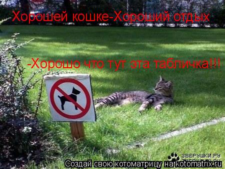 Котоматрица: Хорошей кошке-Хороший отдых -Хорошо что тут эта табличка!!!