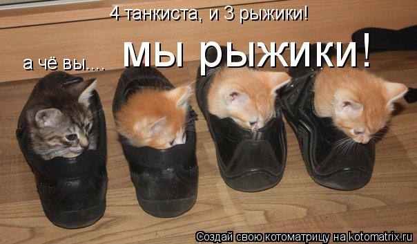 Котоматрица: 4 танкиста, и 3 рыжики! а чё вы.... мы рыжики!