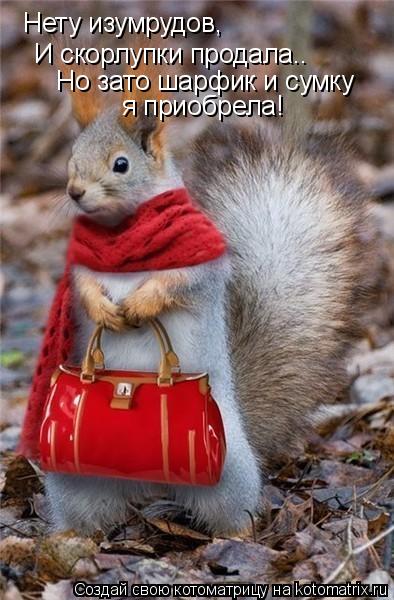 Котоматрица: Нету изумрудов, И скорлупки продала.. Но зато шарфик и сумку  я приобрела!