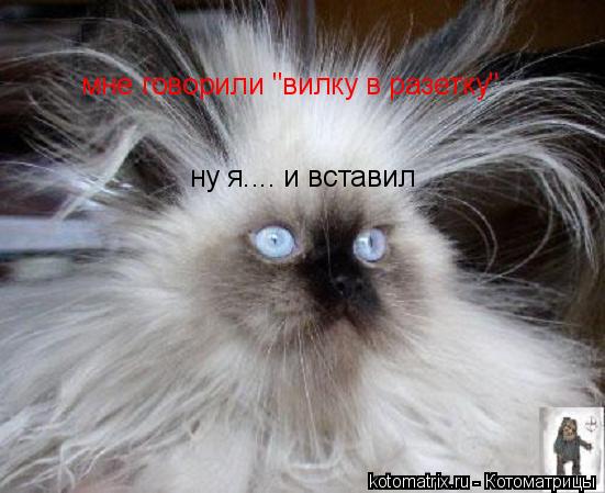 Котоматрица: мне говорили "вилку в разетку" ну я.... и вставил