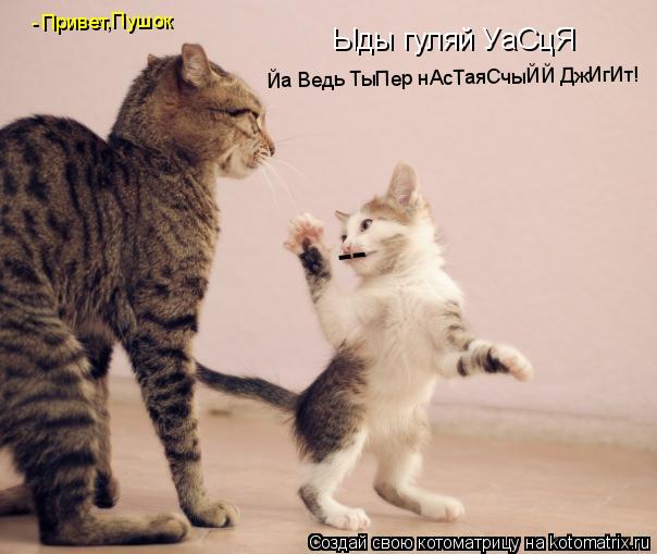 Котоматрица: Ыды гуляй УаСцЯ -- Йа Ведь ТыПер нАсТаяСчыЙЙ ДжИгИт! Привет,Пушок -