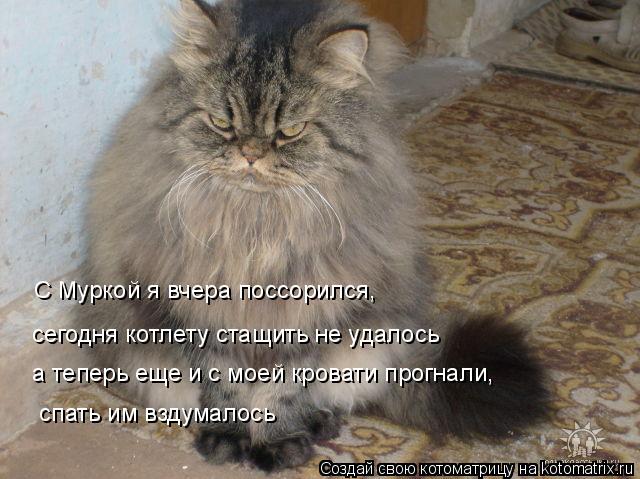 Котоматрица: С Муркой я вчера поссорился, сегодня котлету стащить не удалось а теперь еще и с моей кровати прогнали,  спать им вздумалось