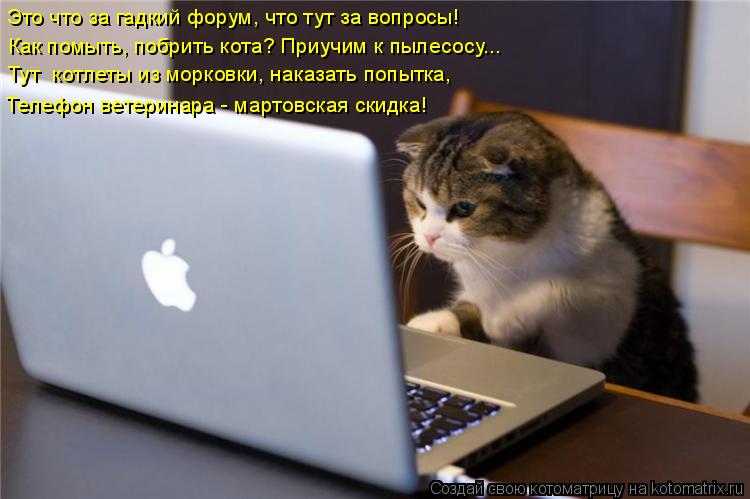 Это что за гадкий форум, что тут за вопросы! Как помыть, побрить кота? Приучим к пылесосу... Тут кот... Котоматрица: Это что за гадкий форум, что тут за вопросы! Как помыть, побрить кота? Приучим к пылесосу... Тут котлеты из морковки, наказать попытка, Телефо