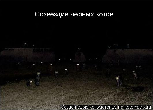 Котоматрица: Созвездие черных котов