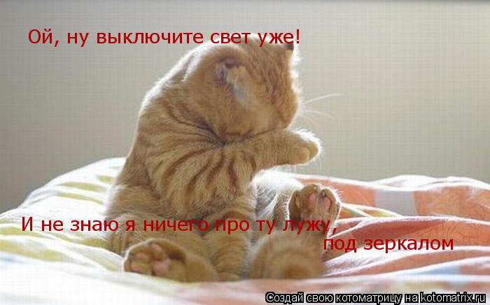 Котоматрица: Ой, ну выключите свет уже! И не знаю я ничего про ту лужу,  под зеркалом