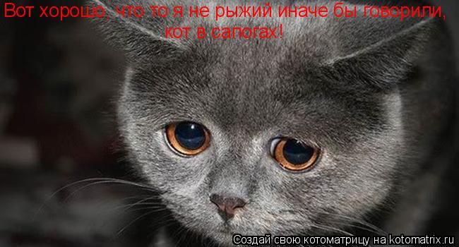 Котоматрица: Вот хорошо, что то я не рыжий иначе бы говорили, кот в сапогах!