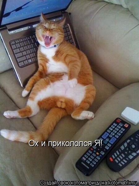 Котоматрица: Ох и прикололся Я!