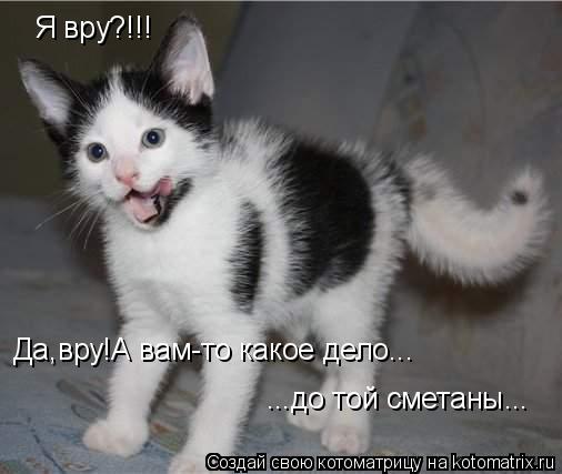 Котоматрица: Я вру?!!! Да,вру!А вам-то какое дело... ...до той сметаны...