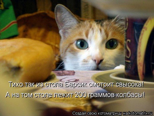 Котоматрица: Тихо так из стола Барсик смотрит свысока! А на том столе лежит 200 граммов колбасы!