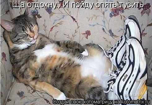 Котоматрица: Ща отдохну...И пойду опять тусить