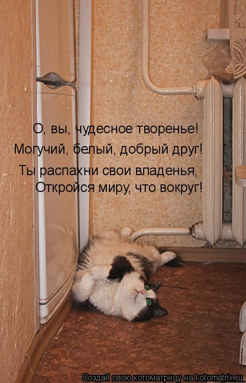 О, вы, чудесное творенье! Могучий, белый, добрый друг! Ты распахни свои владенья, Откройся миру, что ... Котоматрица: О, вы, чудесное творенье! Могучий, белый, добрый друг! Ты распахни свои владенья, Откройся миру, что вокруг!