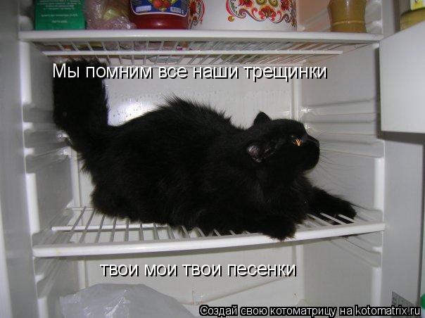 Котоматрица: Мы помним все наши трещинки твои мои твои песенки