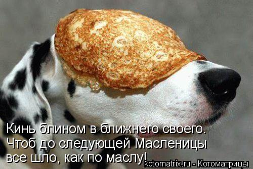 Котоматрица: Кинь блином в ближнего своего. Чтоб до следующей Масленицы все шло, как по маслу!